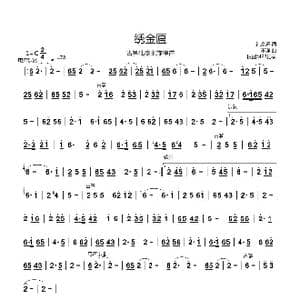 绣金匾_歌曲简谱_词曲:纯音乐 不详