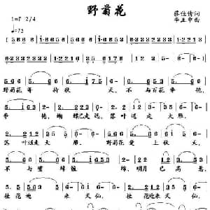 野菊花_通俗唱法乐谱_词曲:蔡佳倩 李正中