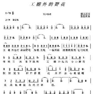 工棚外的野花_民歌简谱_词曲:梁文正 张显真