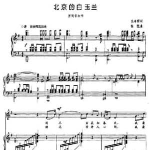 北京的白玉兰_民歌简谱_词曲:孔祥雨 程恺