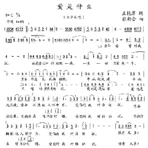 爱是什么_通俗唱法乐谱_词曲:王艳萍 张新合