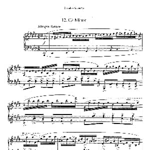 12 Silhouettes Op.8 钢琴谱 安东宁 德沃夏克