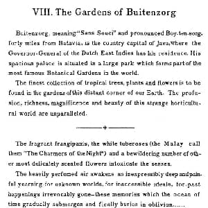Java Suiten 钢琴谱 里奥鲍尔德 戈多夫斯基