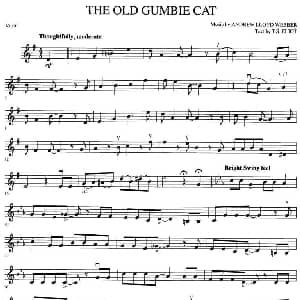 小提琴谱 | THE OLD GUMBIE CAT 老刚比猫