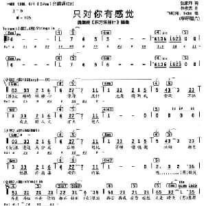 只对你有感觉_通俗唱法乐谱_词曲:张家玮 林俊杰