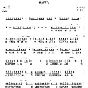 蝴蝶不飞_通俗唱法乐谱_词曲:李学雷 小纪