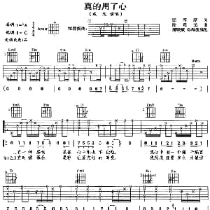 真的用了心 吉他谱 成龙 张淳淳 涂惠元