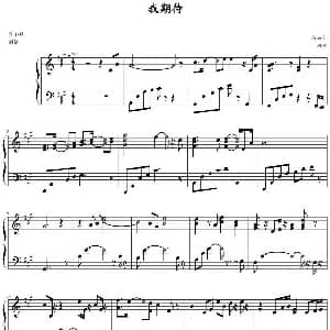 我期待 钢琴谱 张雨生