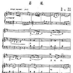 昙花_民歌简谱_词曲:志同 赵行达