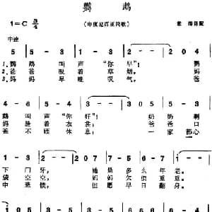 鹦鹉 印度尼西亚 _外国歌谱_词曲: 易涛译配