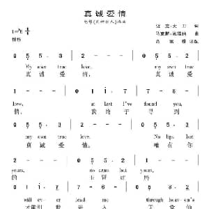真诚爱情 美国 _外国歌谱_词曲:迈克 大卫 马克斯 施廷纳