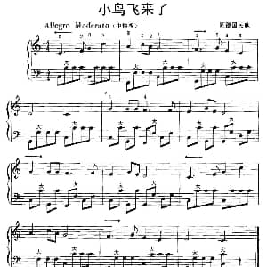 手风琴谱 | 小鸟飞来了