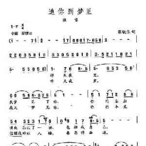 田光歌曲选 93追你到梦里_民歌简谱_词曲:张伩俍 田光