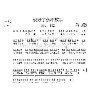 说好了我们永远不放手_歌曲简谱_词曲:丘亦华 烟雨憾