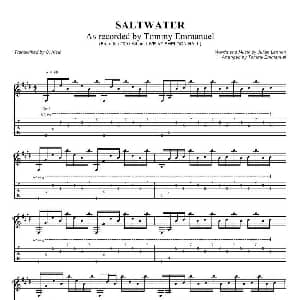 tommy emmanuel saltwater 1 吉他谱
