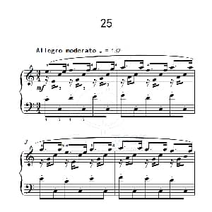 练习曲 25 钢琴谱