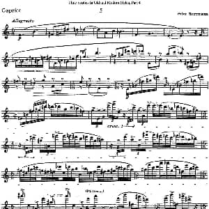 长笛曲谱 | 斯勒新老风格长笛练习重奏曲 第四部分 NO.5 Siegfried Thiele S. 斯勒