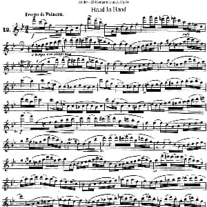 长笛曲谱 | 25首浪漫练习曲作品66号 NO.12 Kohler 柯勒