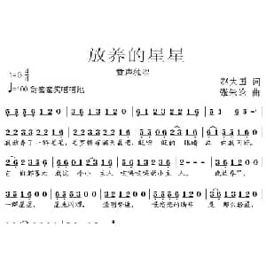 放养的星星_儿歌乐谱_词曲:赵大国 张朱论