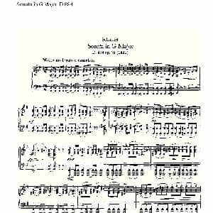 Sonata in G Major D.894 钢琴谱
