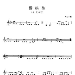 葫芦丝谱 | 雪绒花 五线谱 严丹丹