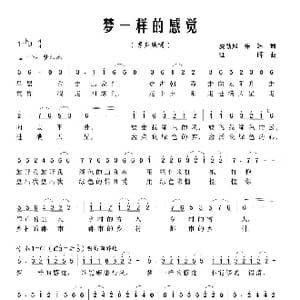 梦一样的感觉_歌曲简谱_词曲:夏劲风 朱琳 江晖
