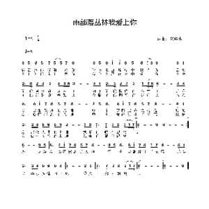 雨部落丛林我爱上你_歌曲简谱_词曲:安华水 安华水