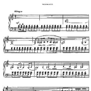 手风琴谱 | 托卡塔 列普尼科夫完整版