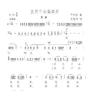 五月千山梨花开_歌曲简谱_词曲:齐晓阳 平安俊