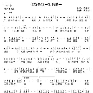 你是我的唯一_通俗唱法乐谱_词曲:佟海波 吴清华