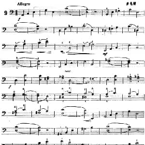 鲍斯特列姆大提琴练习曲 9 13