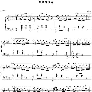 黑键练习曲 钢琴谱 肖邦