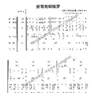 新鸳鸯蝴蝶梦_歌谱投稿_词曲:黄安 黄安