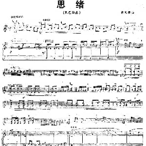 琵琶谱 | 思绪 曲文君