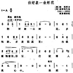 你好像一朵鲜花 匈 德 _外国歌谱_词曲: 德 海涅作词 尚家骧译配 匈 李斯特