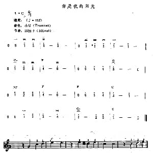 电子琴谱 | 你是我的阳光