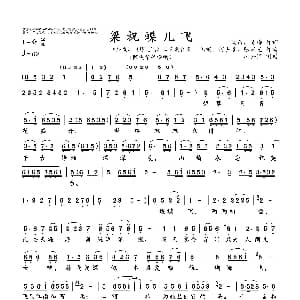 梁祝蝶儿飞 陈俊华等 阎肃 陈涛 陈钢 何占豪 张宏光