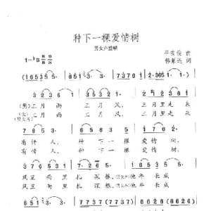 种下一棵爱情树_歌曲简谱_词曲:韩景连 平安俊