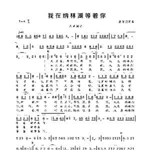 我在纳林湖等着你_歌曲简谱_词曲:孙德明 孙德明