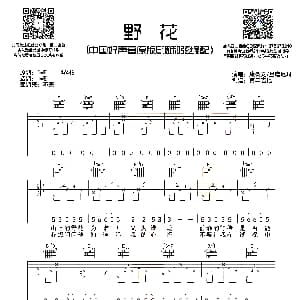 野花 吉他谱 康树龙 旦增尼玛 西二吉他