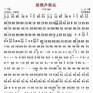 拔根芦柴花_歌曲简谱_词曲: 王爱康编曲