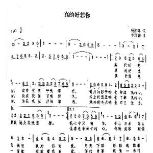 真的好想你_歌谱投稿_词曲:杨湘粤 李汉颖