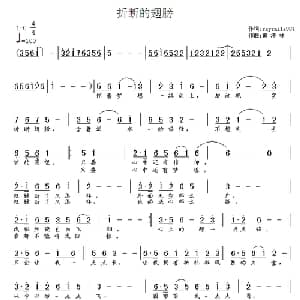 折断的翅膀_通俗唱法乐谱_词曲: 黄清林