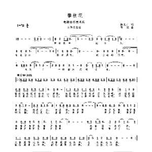 电力 MV 攀枝花_歌曲简谱_词曲:杨文广 高绿