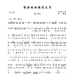 想你的时候我不哭_歌曲简谱_词曲:夏敢若何 陈伟