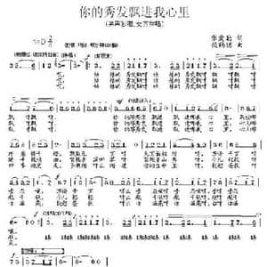 你的秀发飘进我心里_民歌简谱_词曲:张爱勤 段鹤聪