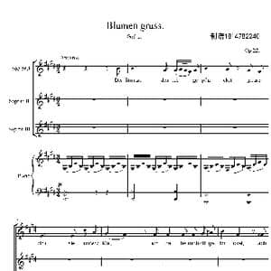 Blumen gruss合唱唱谱_歌谱投稿