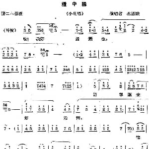 秦腔唱腔选 柜中缘 小旦唱段 苏蕊娥