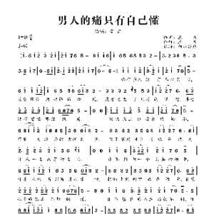 男人的痛只有自己懂_歌曲简谱_词曲:三力 三力