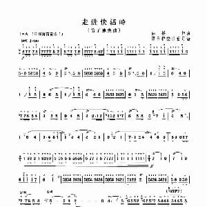 笛子谱 | 走进快活林 曲祥